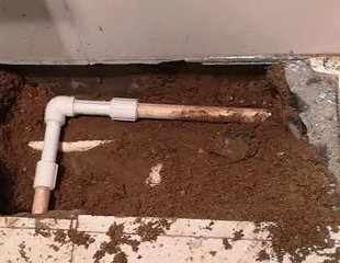 璧山测漏水哪家好