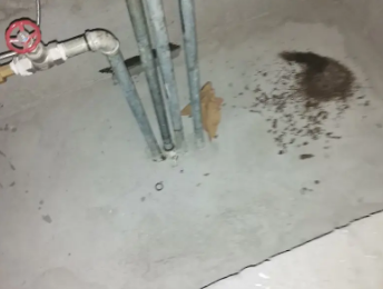 璧山卫生间测漏水价格明细