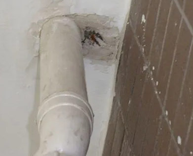 璧山漏水检测哪家好